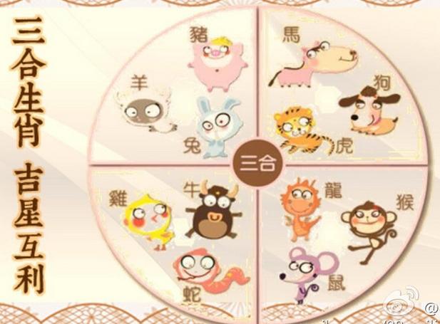 今期生肖不动摇，二五在乎六介意打一正确生肖详细解答、统计解答解释落实